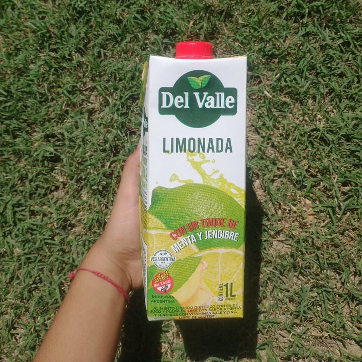 photo of Del Valle limonada con menta y jengibre shared by @malenita on  25 Feb 2022 - review