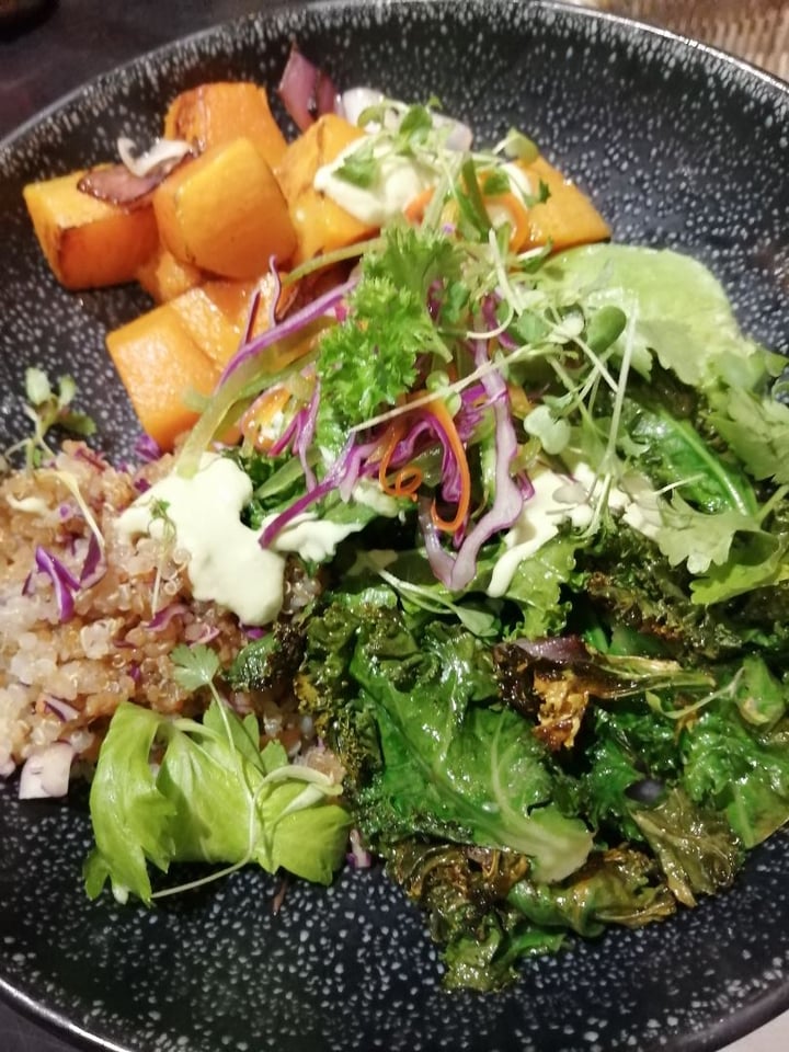 photo of Java Cafe/Bistro Stellenbosch Vegan quinoa salad shared by @nickyv on  11 Sep 2019 - review