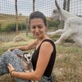 martimem @martimem profile image
