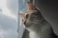sukibells @sukibells profile image