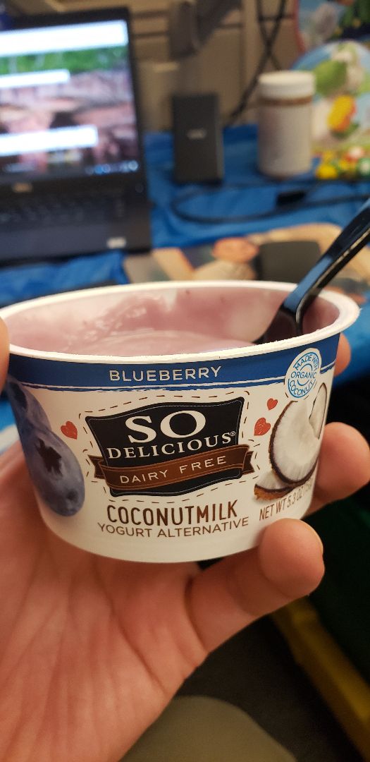 photo of So Delicious Dairy Free Blueberry Coconut Milk Yogurt Alternative shared by @mmond21 on  07 Aug 2019 - review