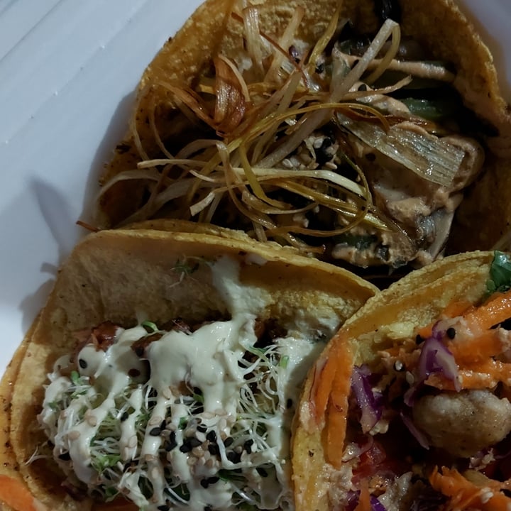 photo of HAMABE Tacos estilo baja, marlin free y gobernador shared by @mariana2703 on  29 Aug 2021 - review