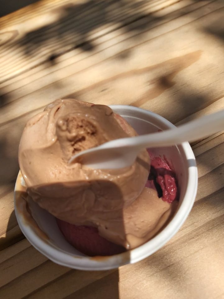photo of Unframed Ice Cream Beetroot and Chocolate and Raspberry and Coconut shared by @lieslsnyman on  09 Feb 2020 - review