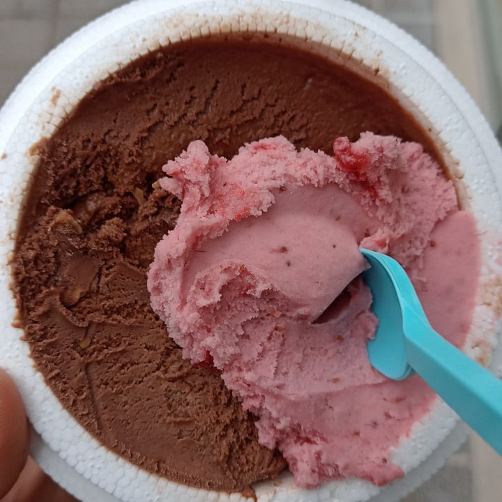 photo of Freddo Helado NotCo mousse de frambuesa shared by @mar-antiespecista1 on  19 Aug 2022 - review