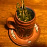 El Encuentro Vegetarian Restaurant