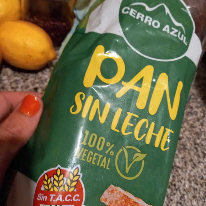 review photo of Cerro Azul Pan Sin Leche shared by @lulitalaveganita on 25 May 2021 - review