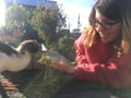 louiseestperdue @louiseestperdue profile image