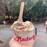 Madonna Vegan