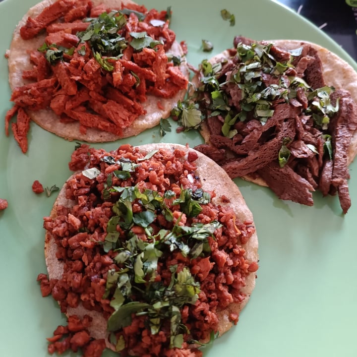 photo of Poderosa Restaurante Vegano Taco pastor shared by @oiseau on  08 May 2022 - review