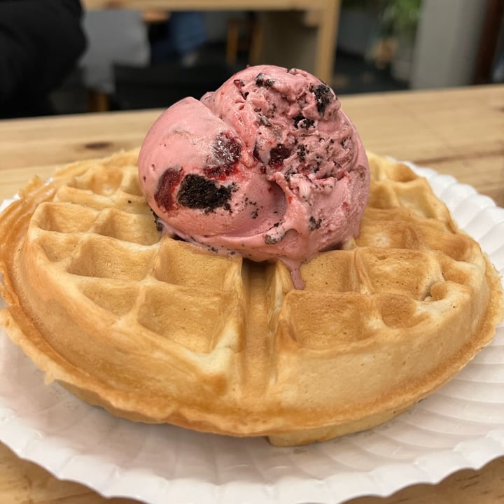 photo of Kristen's Kick-Ass Ice Cream Newlands Vegan Waffle shared by @sylvacharm on  10 Jun 2022 - review