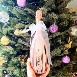 Bottega baci