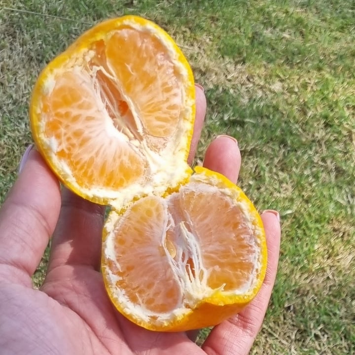 photo of Woolworths Food Soft citrus shared by @sunshineyum on  12 May 2022 - review