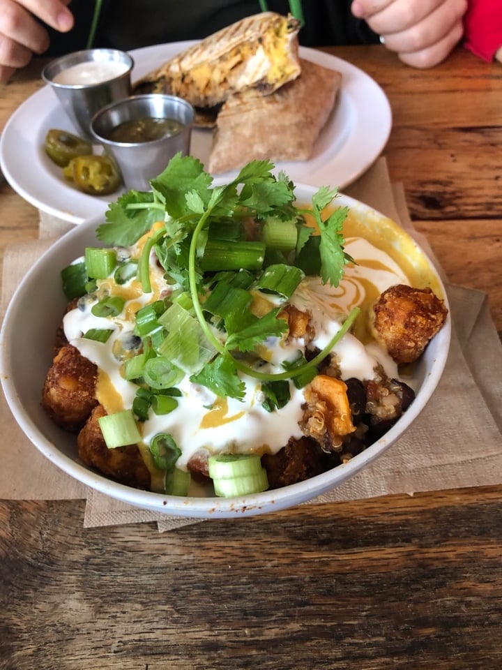 review photo of Lulu's Local Eatery, LLC Loaded Tater Tots shared by @klc on 13 Jan 2020 - review