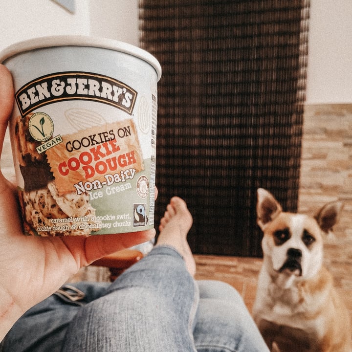 photo of Ben & Jerry's Cookies On Cookie Dough Non-Dairy Ice Cream shared by @veganvancouple on  06 Nov 2020 - review