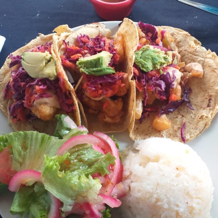 photo of Boris Vegan Club Tacos baja shared by @nancy on  17 Nov 2020 - review