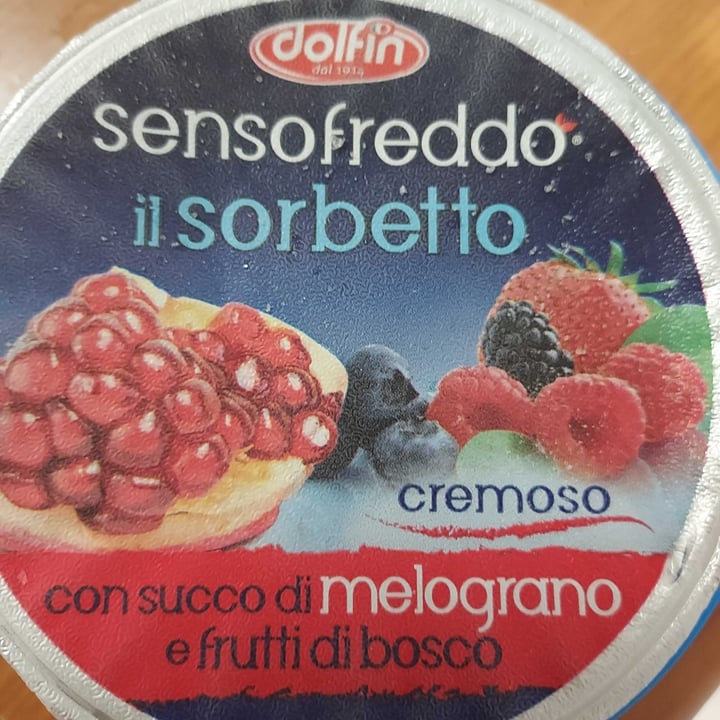 photo of Dolfin Sorbetto melograno e frutti di bosco shared by @ilmorte on  30 Jun 2021 - review