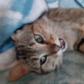 animalfriendly @animalfriendly profile image