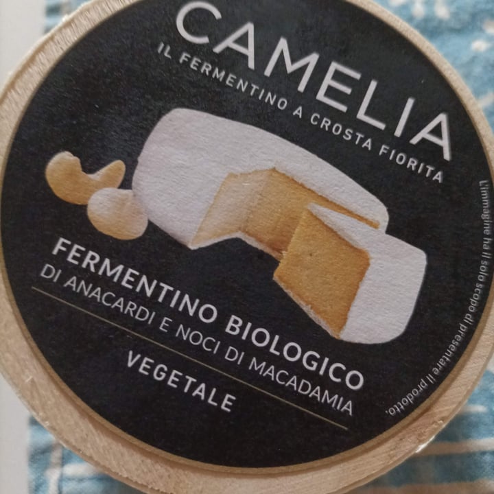 photo of Camelia Fermentino a crosta fiorita shared by @alesam on  29 Sep 2022 - review