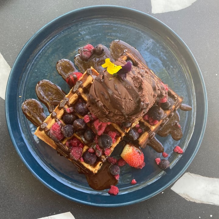 review photo of Lexi's Healthy Eatery Vanilla Power Waffles shared by @twoleavess on 01 Jun 2021 - review