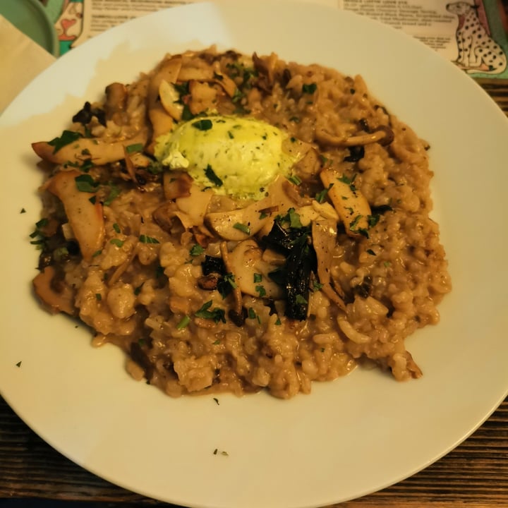 photo of Love Shack Our Magical Mushroom Risotto shared by @eydis on  02 Jan 2021 - review