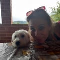 @vanbonadio profile image