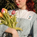 ameryse @ameryse profile image