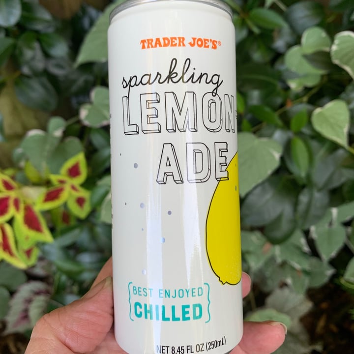 Trader Joe's Sparkling Lemonade Review abillion
