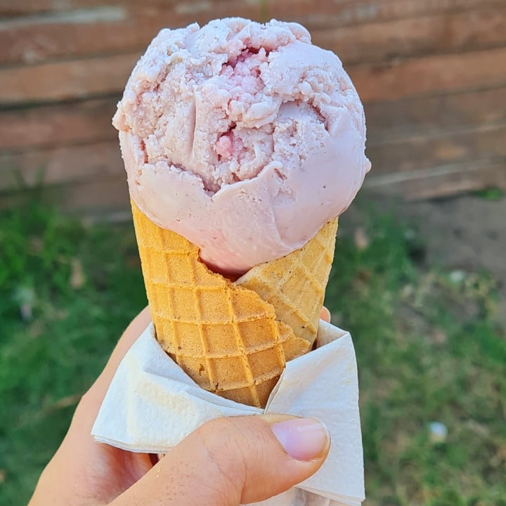 photo of ditto Vegan Ice Cream Ice Cream cone shared by @craynie on  19 Oct 2022 - review
