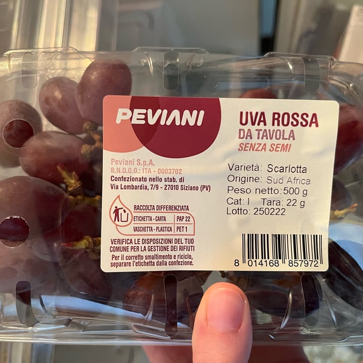 review photo of Peviani Uva bianca da tavola senza semi shared by @zoeveg on 10 Mar 2022 - review