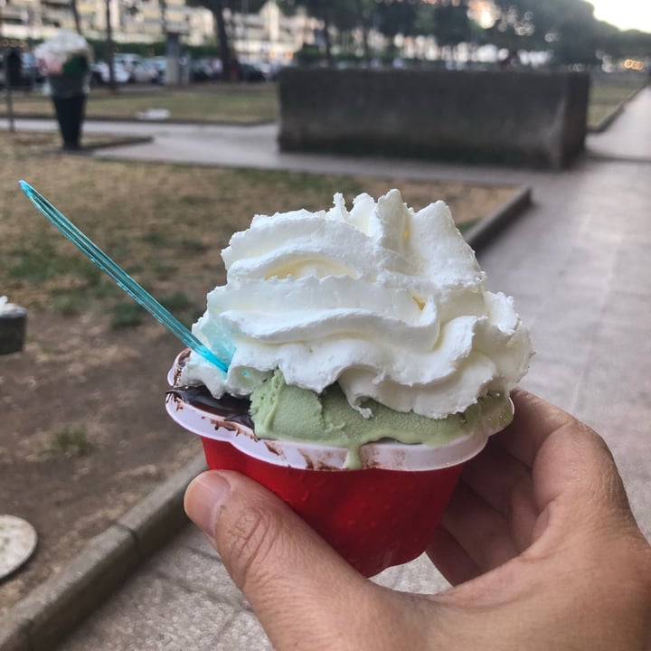 photo of Gelateria Su Per Giù Coppetta shared by @violettaplantbased on  16 Jul 2021 - review