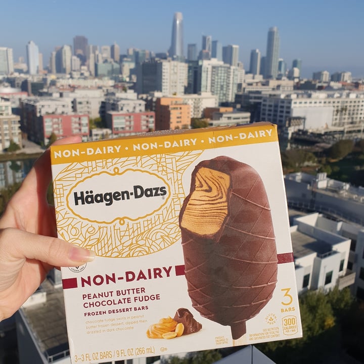photo of Häagen-Dazs Peanut Butter Chocolate Fudge Bars shared by @anistavrou on  31 Oct 2020 - review