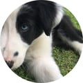 celbentz @celbentz profile image