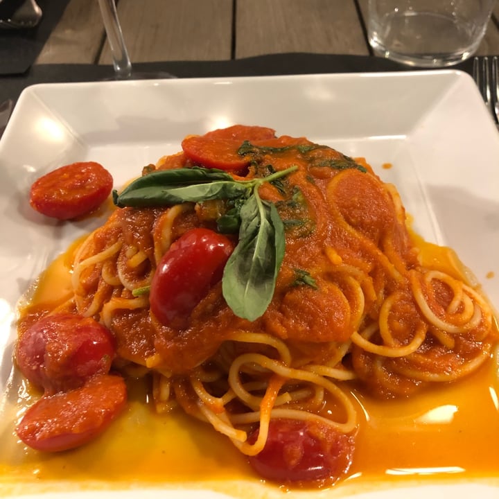 photo of Hotel Parrasio spaghetti al pomodoro shared by @yuka-bunny on  10 Jul 2022 - review