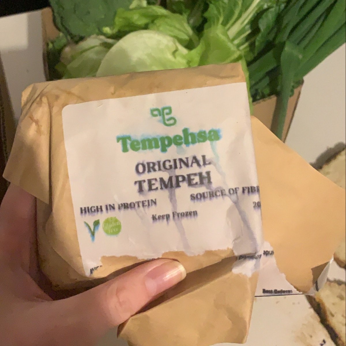 Tempehsa Tempeh Reviews abillion