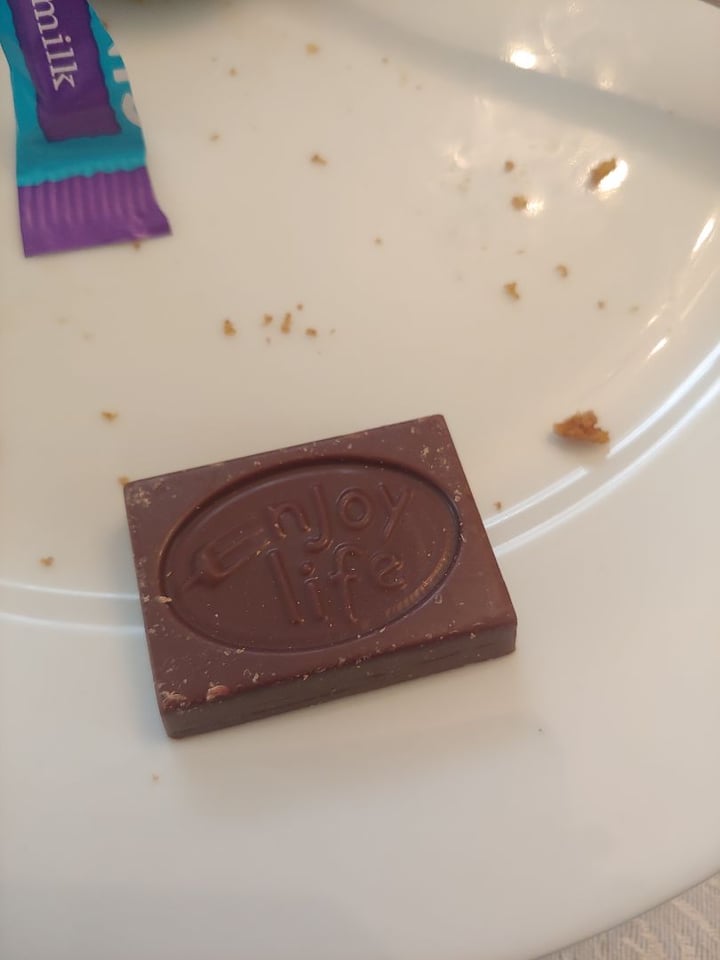 photo of Enjoy Life Chocolate Minis Ricemilk shared by @vecanter on  22 Apr 2019 - review
