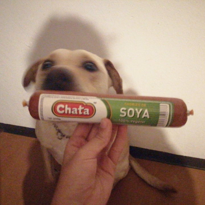 photo of La Chata Chorizo de soya shared by @3nriqueta on  13 Dec 2021 - review