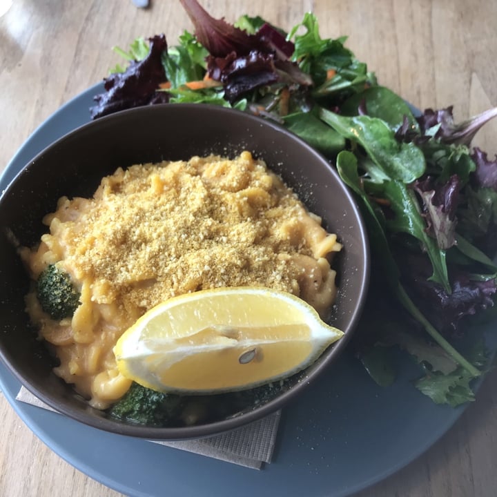 photo of Cadence Mac and Cheese shared by @chelseabelle on  14 Feb 2020 - review