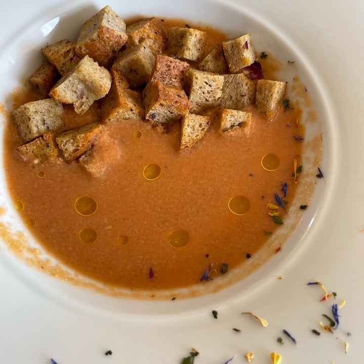photo of Agriturismo La Fucina Gazpacho shared by @mariannazemi on  24 Jul 2022 - review