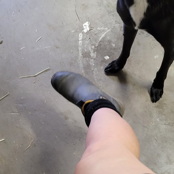 photo of Merry People Bobbi Gumboots shared by @lisellef on  21 Oct 2022 - review