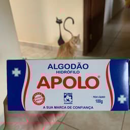 Apolo