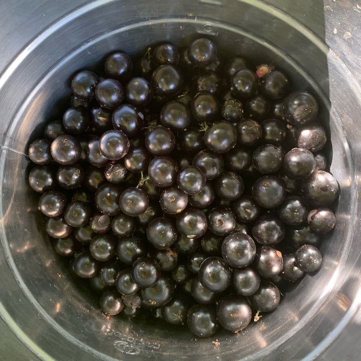 review photo of Feito em Casa Jabuticabas shared by @laurinina on 25 Nov 2022 - review
