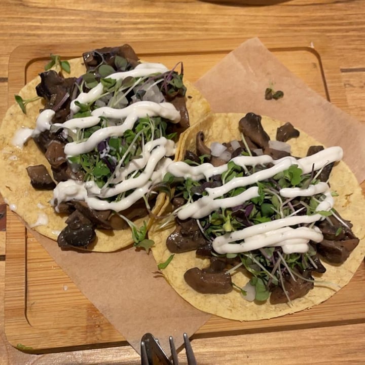 photo of Gallo Santo Tacos de setas shared by @raultrajkovska on  13 Aug 2021 - review