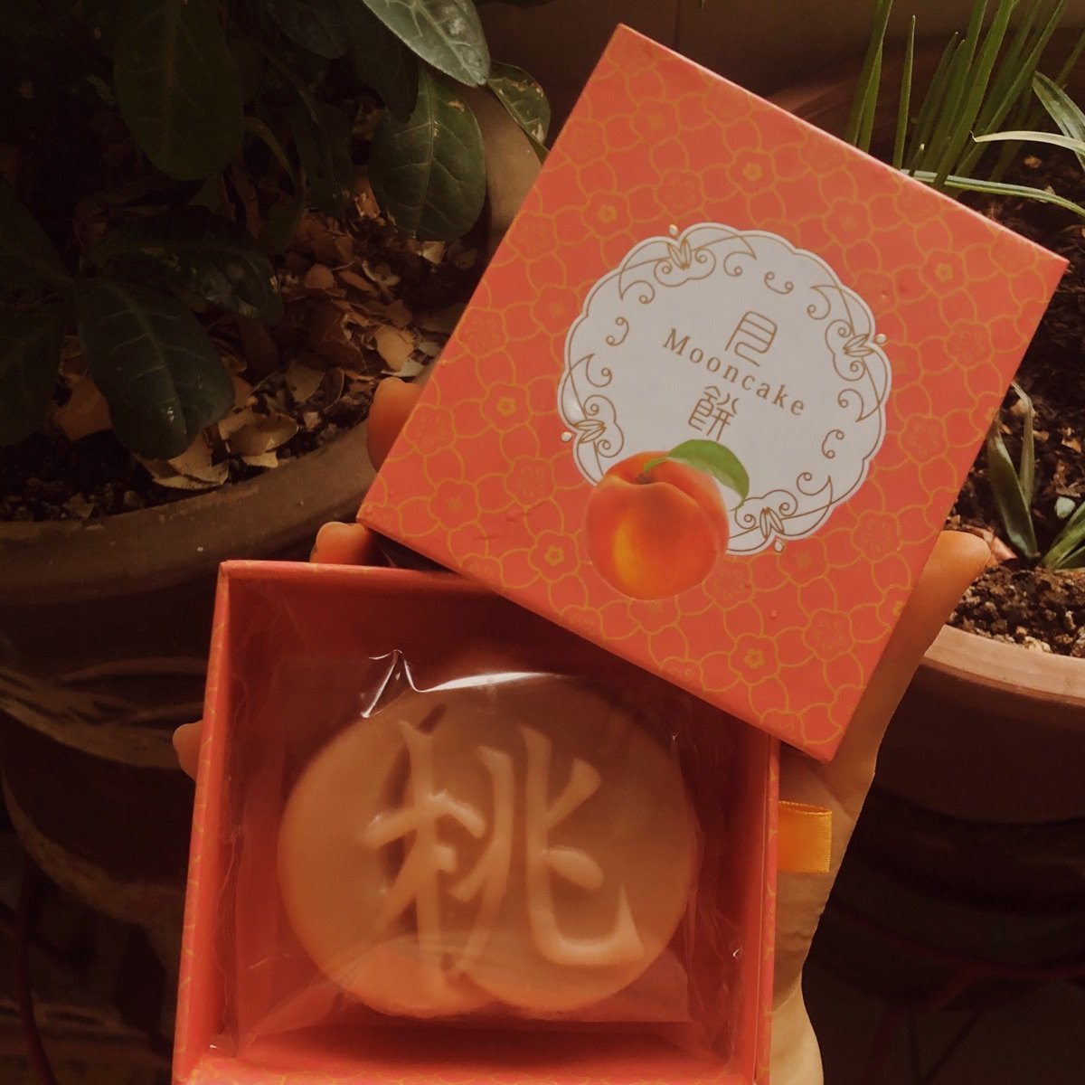 DON DON DONKI Wagashi Mooncake (Chilled Bean Paste Bun Peach) Reviews