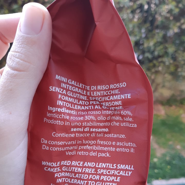 photo of Gallo Snack riso rosso integrale e lenticchie shared by @elenadb on  21 Apr 2021 - review