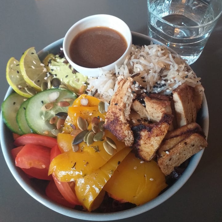 review photo of Katzentempel Regensburg Tofuwabohu Bowl shared by @celilovesanimals on 02 Jun 2022 - review