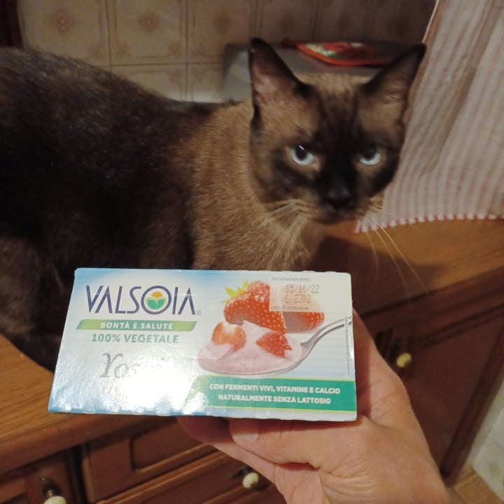 review photo of Valsoia Yosoi Fragola shared by @mmaura on 18 Sep 2022 - review