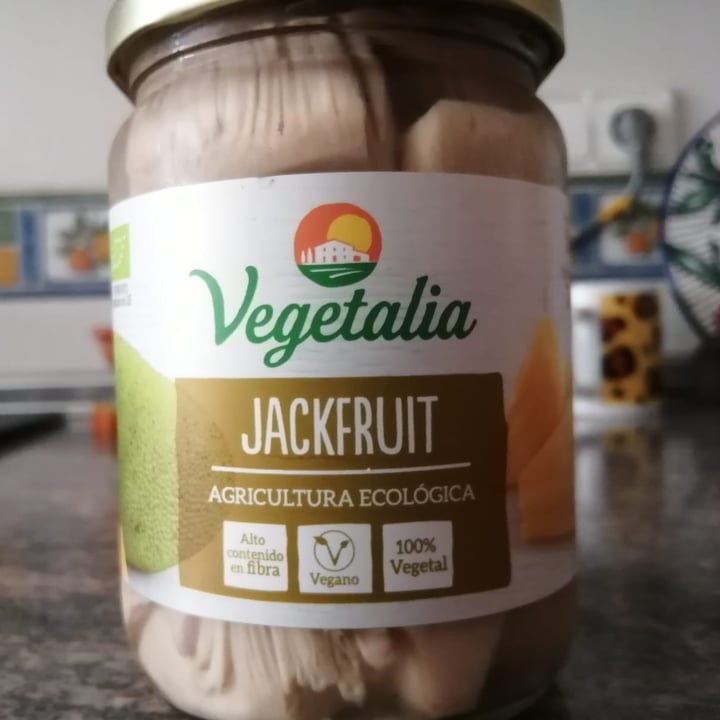 photo of Vegetalia Jackfruit shared by @nonarq on  22 Sep 2020 - review