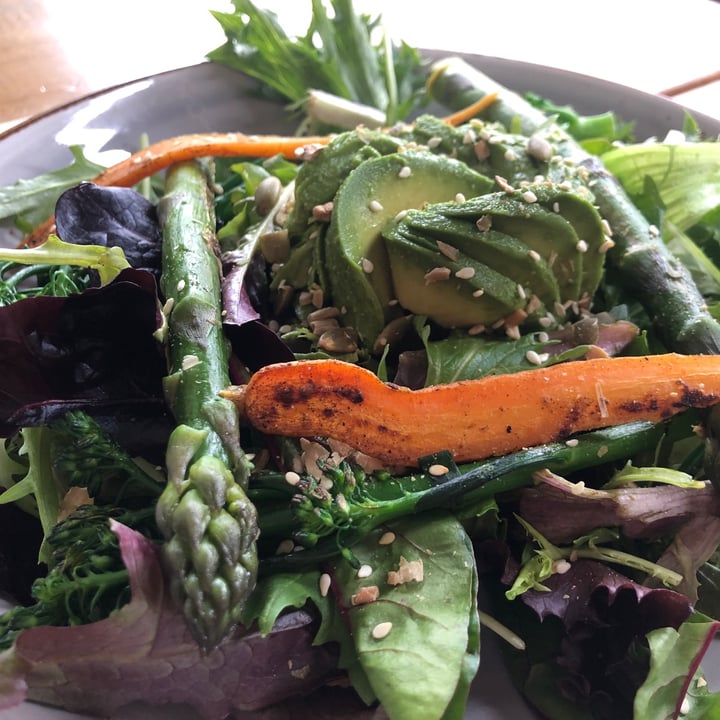 photo of Rabbit Carrot Gun Rabbit Greens shared by @roxtarlette on  11 Oct 2020 - review