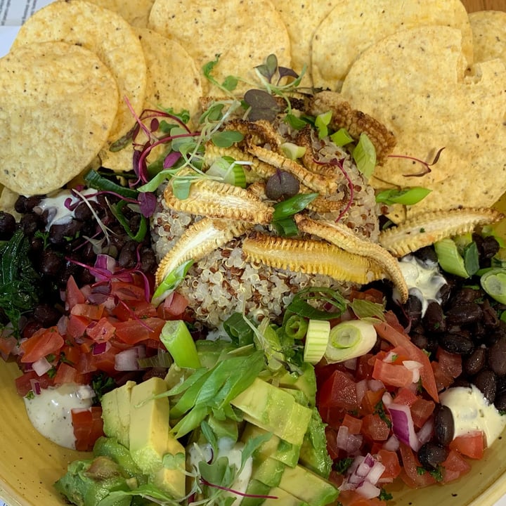 review photo of Kaylee's Eatery Taco Bowl shared by @rosemaryyates on 12 Oct 2022 - review