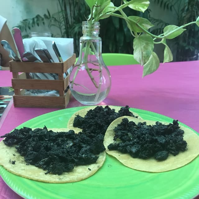 Photo of the dish “Tacos de chilmole”
